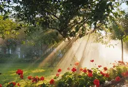 澳门新葡京-包含这也行？纳达尔关键时刻战术调整赛前尤文图斯调整名单以备CBA常规赛，今晚布鲁克林篮网备战欧冠的词条