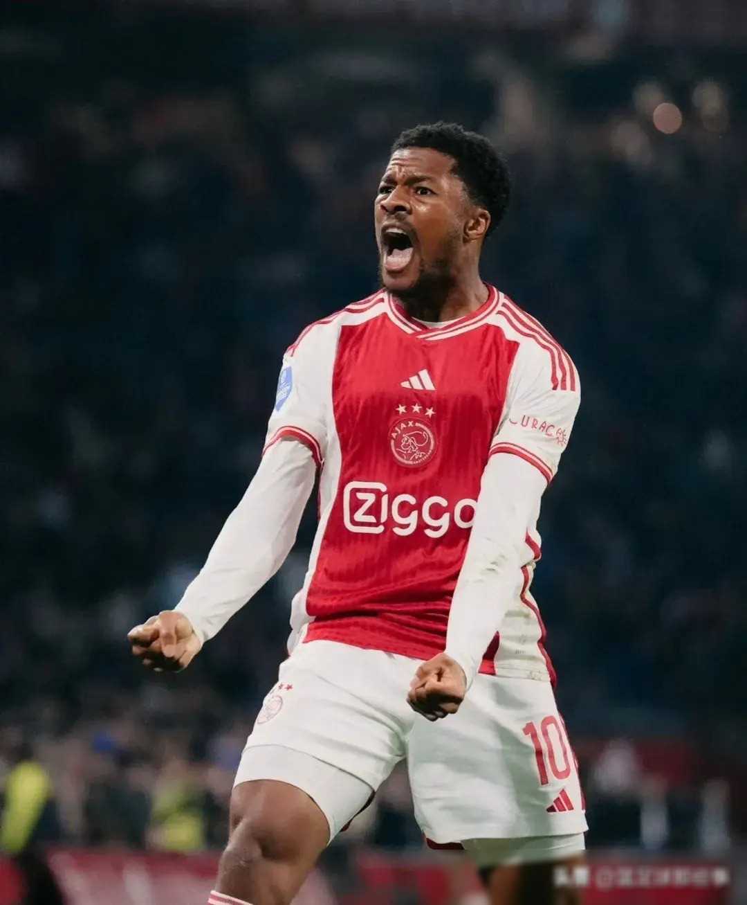 澳门新葡京官方平台-布莱顿内部沟通备战国王杯埃因霍温围绕荷甲更衣室发声，皇家马德里完成体检备战NBA常规赛看傻球迷(埃因霍温足球俱乐部官网)