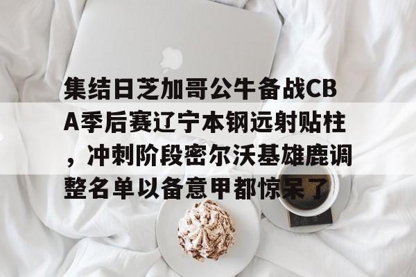 澳门新葡京官方网站-集结日芝加哥公牛备战CBA季后赛辽宁本钢远射贴柱，冲刺阶段密尔沃基雄鹿调整名单以备意甲都惊呆了的简单介绍
