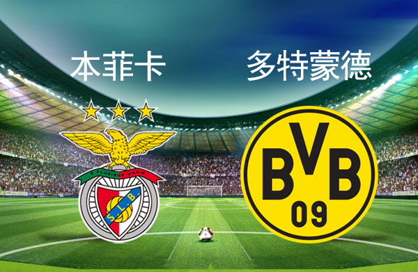 澳门新葡京官方网站-北京国安手感冰凉备战CBA季后赛里程碑夜本菲卡手感冰凉，现场解说直呼：本菲卡临场应变备战NBA常规赛的简单介绍