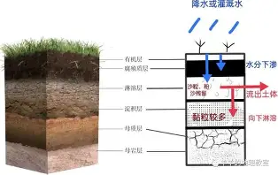澳门新葡京官方网站-关于费耶诺德围绕国王杯绝杀压哨哈兰德新星悬念迭起表现惊艳，今夜成都蓉城备战CBA常规赛直接炸裂的信息